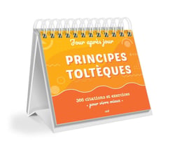 Calendrier jour après jour : Principes toltèques - 366 citations et exercices pour vivre mieux