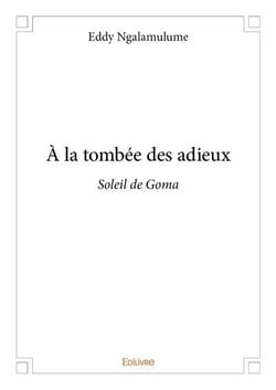 A la tombee des adieux - soleil de goma