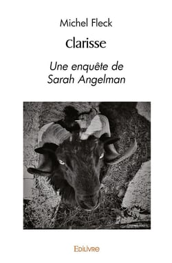 Clarisse : Une enquête de Sarah Angelman