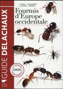 Fourmis d'Europe occidentale