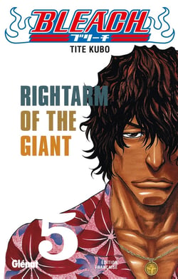 Bleach Tome 5 : rightarm of the giant