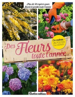 Des fleurs toute l'année