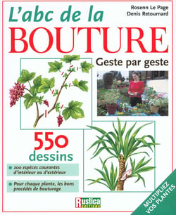  ABC DE LA BOUTURE (L'): 9782840386261: Le Page, Rosenn,  Retournard, Denis: Books