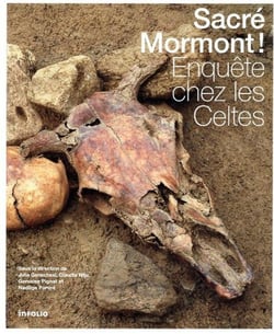 Sacré mormont ! : Enquête chez les celtes