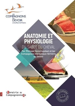 Anatomie et physiologie du sabot du cheval