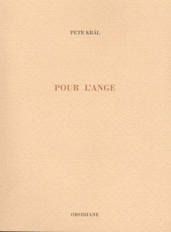 Pour l'ange