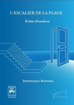 L'escalier de la plage : éclats d'analyse