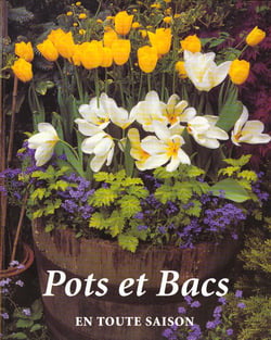Pots fleuris toute l'annee