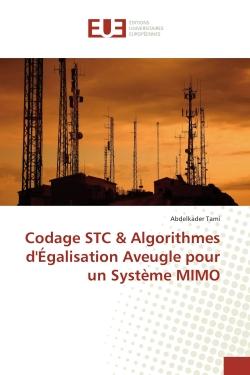 Codage STC & Algorithmes d'egalisation Aveugle pour un systeme MIMO