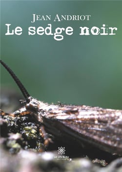 Le sedge noir