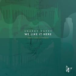 We Like It Here (Remixed + Remastered + Reimagined)