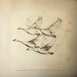 Wild Geese