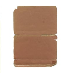 Cellule