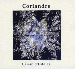 Camin d'estelas