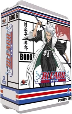 Bleach - Saison 1 : Box 6 : The Rescue, Part 2