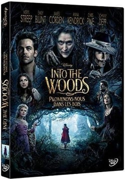 Into the Woods : Promenons-nous dans les bois