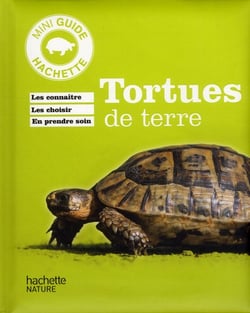 Tortue de terre