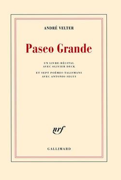Paseo grande