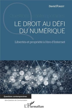 Le droit au défi du numérique - libertés et propriété à l'ere d'internet