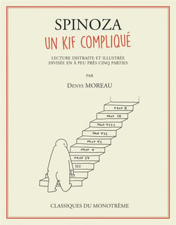 Spinoza, un kif compliqué