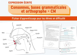 Consonnes, bases grammaticales et orthographe - CM1 et CM2