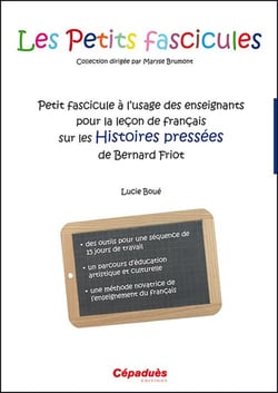 Petit fascicule à l'usage des enseignants pour la leçon de français sur les Histoires pressées de Bernard Friot
