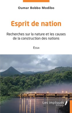 Esprit de nation : recherches sur la nature et les causes de la construction des nations