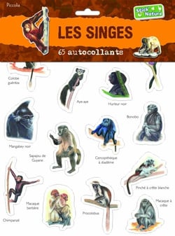 Les singes - 65 autocollants