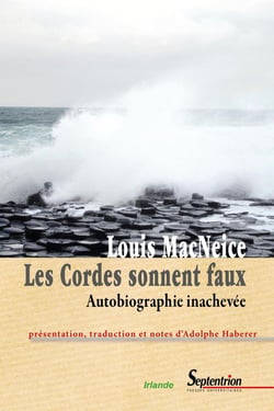Les cordes sonnent faux - autobiographie inachevée