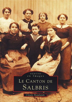 Le canton de Salbris