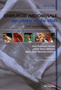 Chirugie abdominal du chien et du chat - partie caudale de l'abdomen