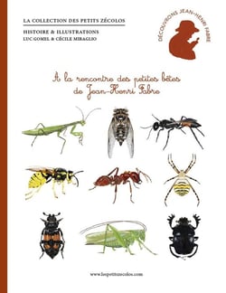À la rencontre des petites bêtes de Jean-Henri Fabre