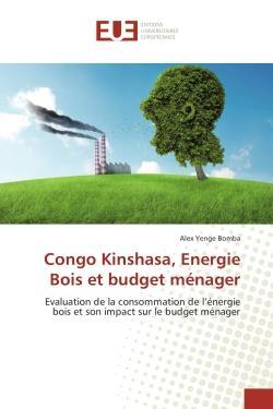 Congo kinshasa, energie bois et budget menager - evaluation de la consommation de l'energie bois et