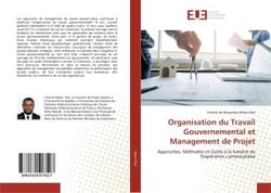Organisation du travail gouvernemental et management de projet - approches, methodes et outils a la