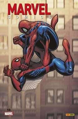 Marvel comics n.13