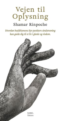 Vejen til oplysning - Hvordan buddhismens Syv punkters sindstroening kan guide dig til et liv i gloede og visdom