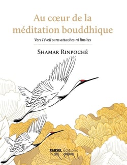Au coeur de la méditation bouddhique