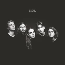 Mur - édition colorée