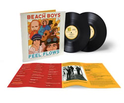 Feel flows : The sunflower & Surf's up sessions 1969-1971