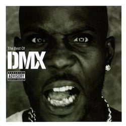 The best of dmx