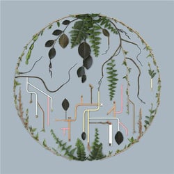 Tributaries Vol.2