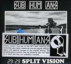 29 29 split