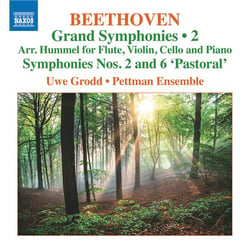 Grandes Symphonies (Volume 2) - Symphonies n° 2 et n° 6 "Pastorale" (arr. pour flûte, violon, violon