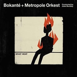 What heat - Vinyle