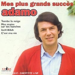Mes plus grands succès