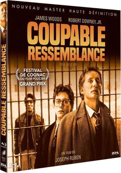 Coupable ressemblance
