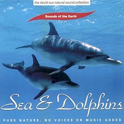 Sea & Dolphins