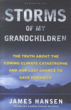 Storms of my grandchildren - the truth about the coming climate catastrophe and our last chance to save humanity