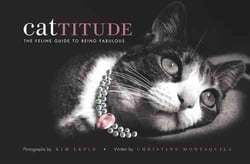 Cattitude - the feline guide to being fabulous