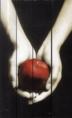 Twilight : coffret Tomes 1 à 4